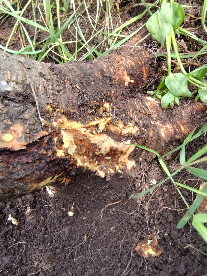 IMG_20260402_154357539_HDR