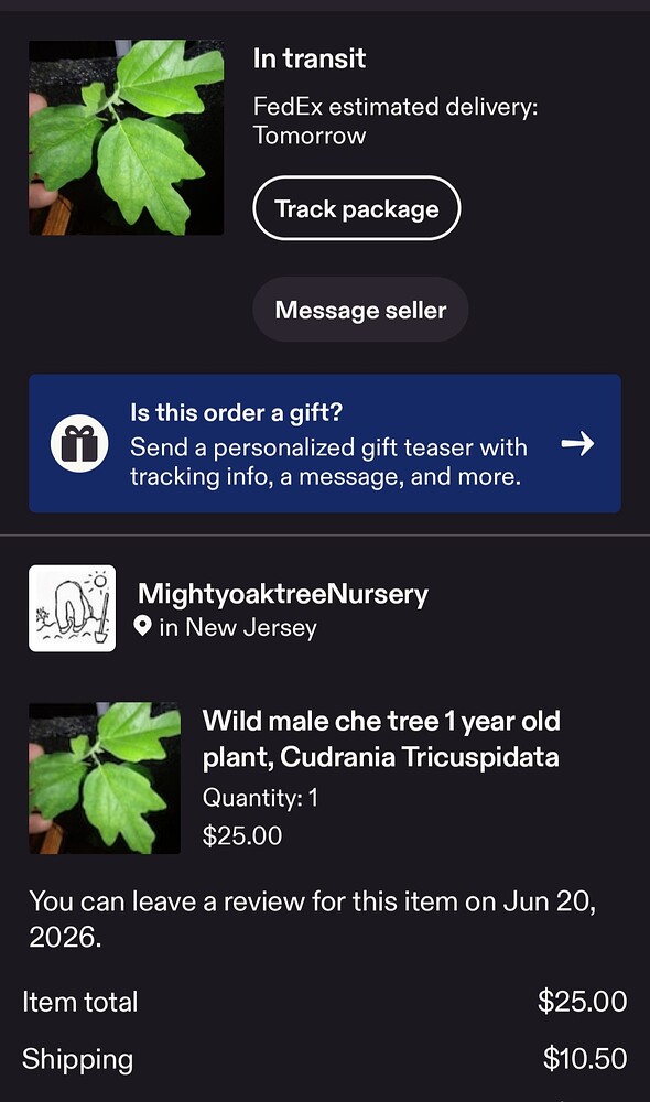 Screenshot_20260617_051643_Etsy