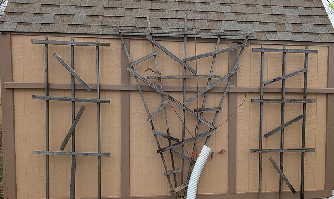 PXL_20260103_181214824