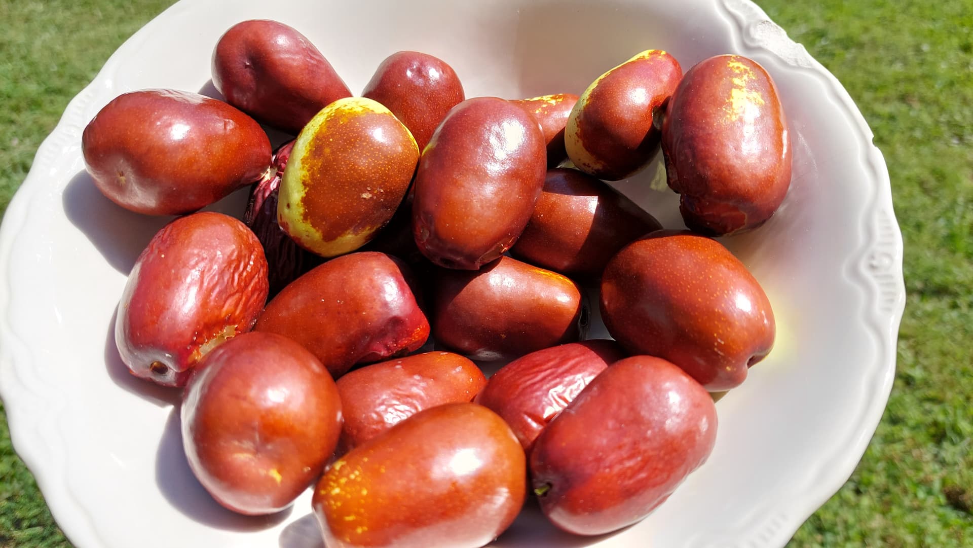 Un ÉTÉ avec Mr JUJUBE du PROVENÇAL. | Un Monde de