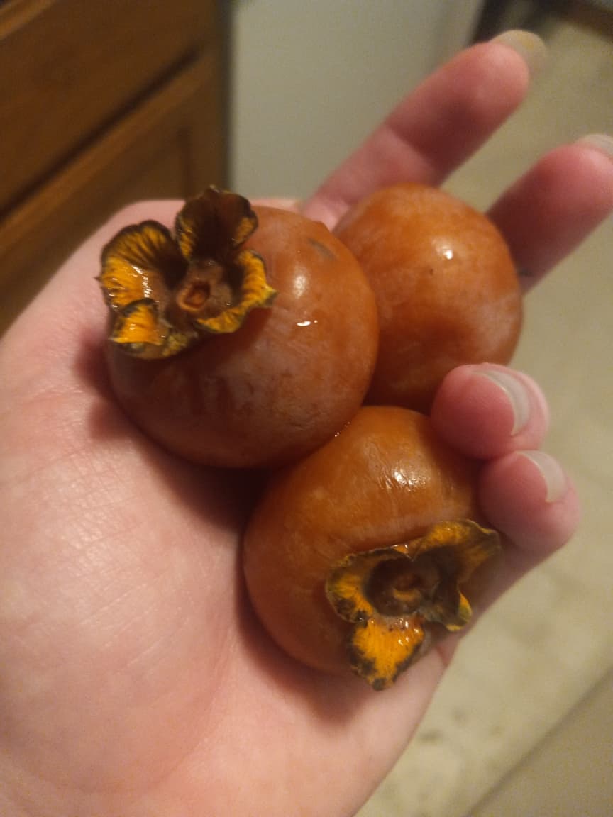 Resized_20240826_154409