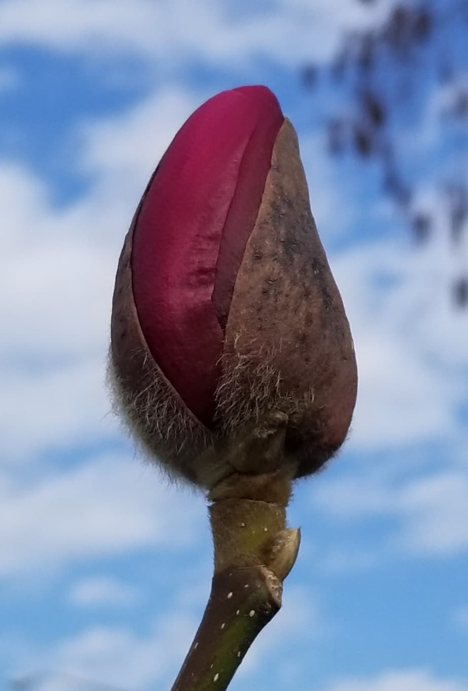 Resizer_17088110869880