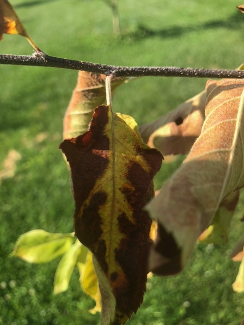 image2 (1)