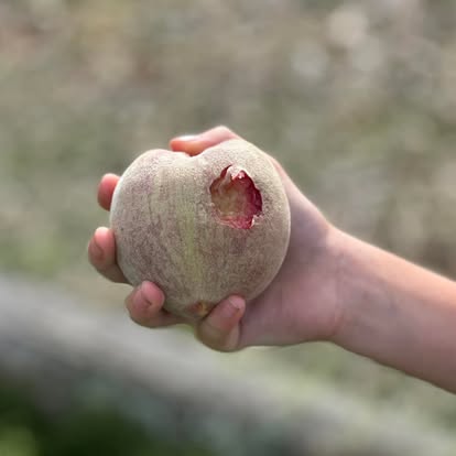 378407920_2466278276866501_8090457465253845532_n