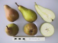 abbe fetel pear