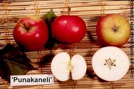 images-1