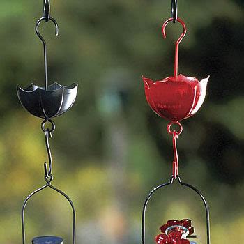 hummingbird feeder ant moat