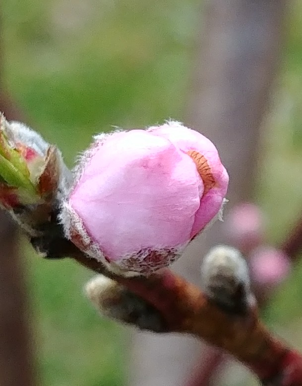 20180331_130948