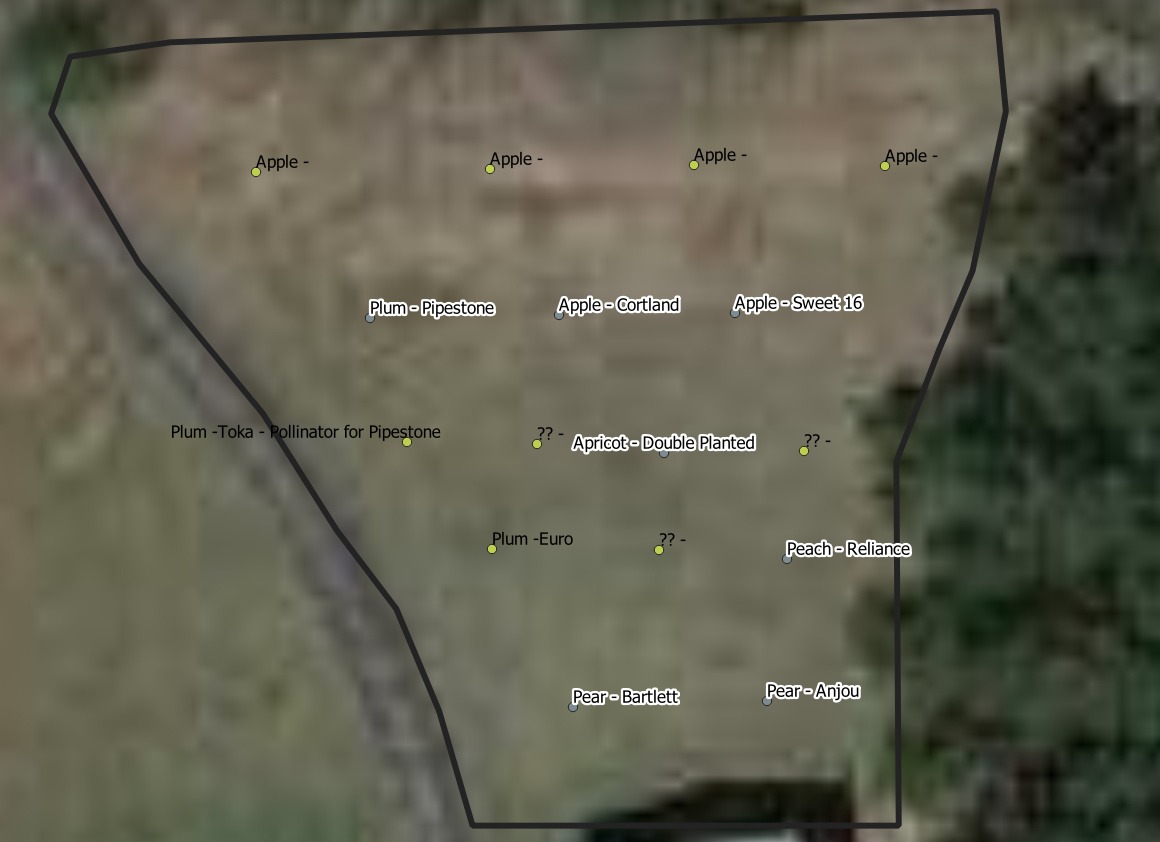 Help with small orchard design - General Fruit Growing - Growing Fruit