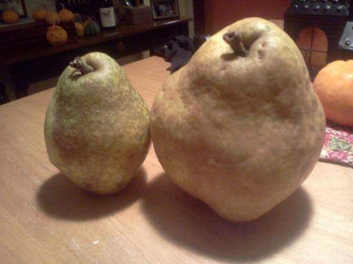 FB_IMG_1565570554499