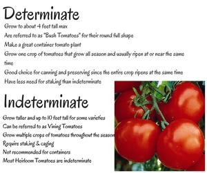 determinate-vs-indeterminate