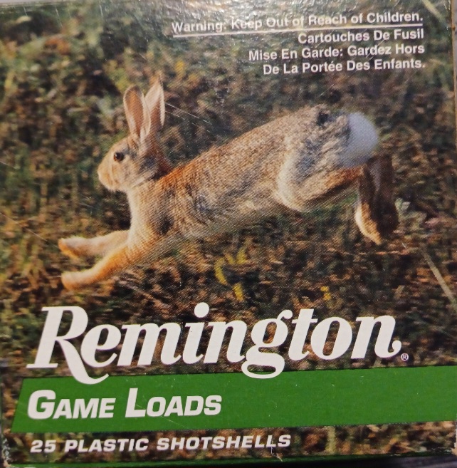 Screenshot_20241015_231949_Gallery