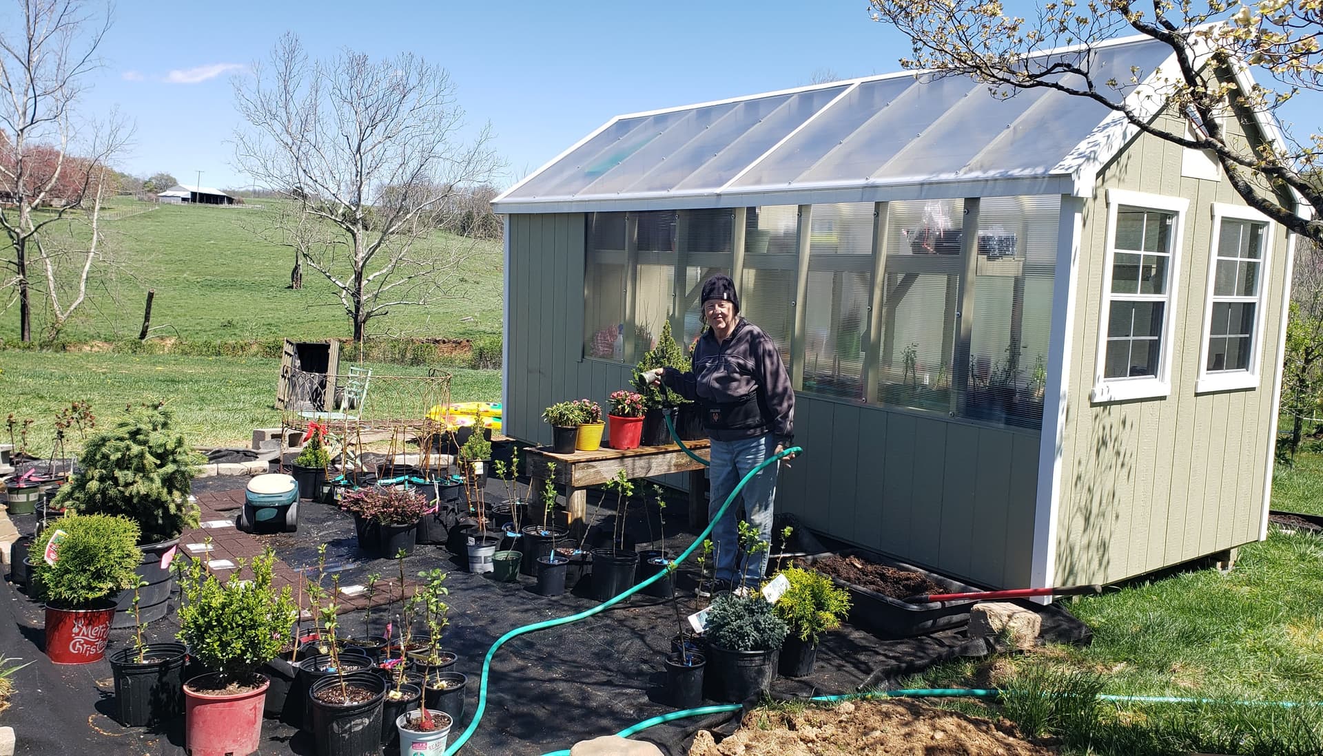 The box stores are really poor with the tree upkeep...how is it in your