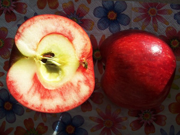 Rote Sternrenette showing red flesh 2