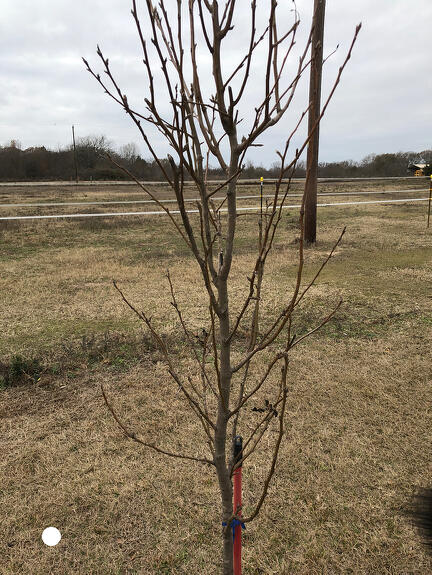 3429C15A-8A69-4FA4-BE18-E14DF8B7DFE9