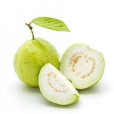 WHITE_GUAVA_Cross-sectional_Cut_and_Transversal_Cut_JJosepha FruitGrowers Forum-01