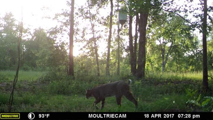 FB_IMG_1512834454085