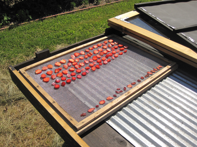 solardry-strawberries-gf