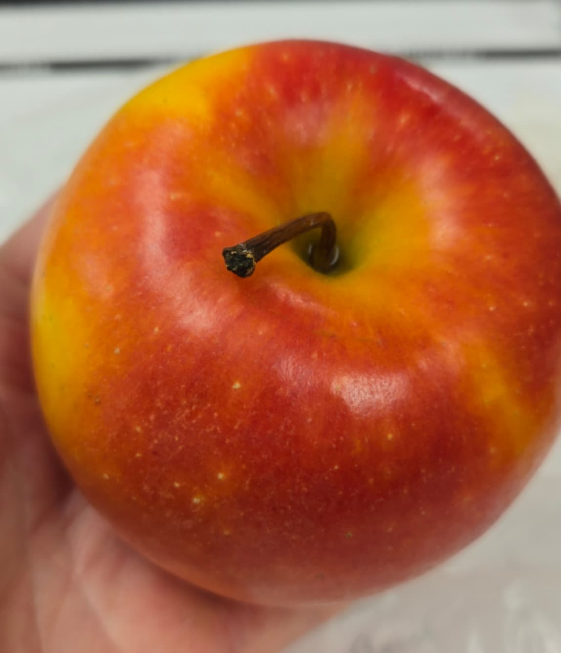 Resizer_17389400842945