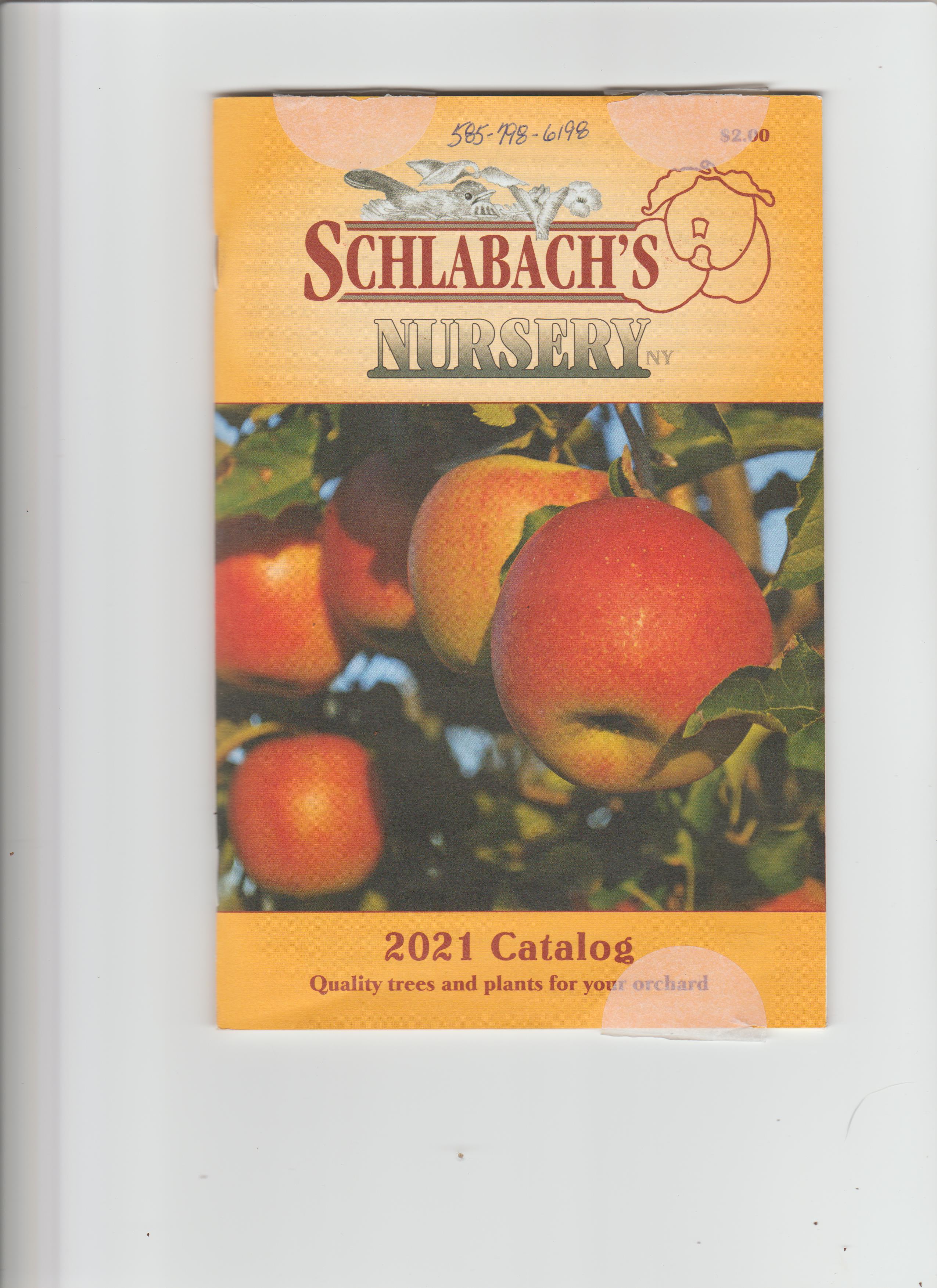 First 2021 Catalog Arrived Page 4 General Gardening Growing Fruit