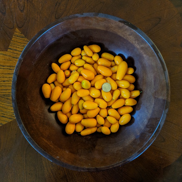 Kumquat%20harvest%20net%201%20kg%202018-12-28