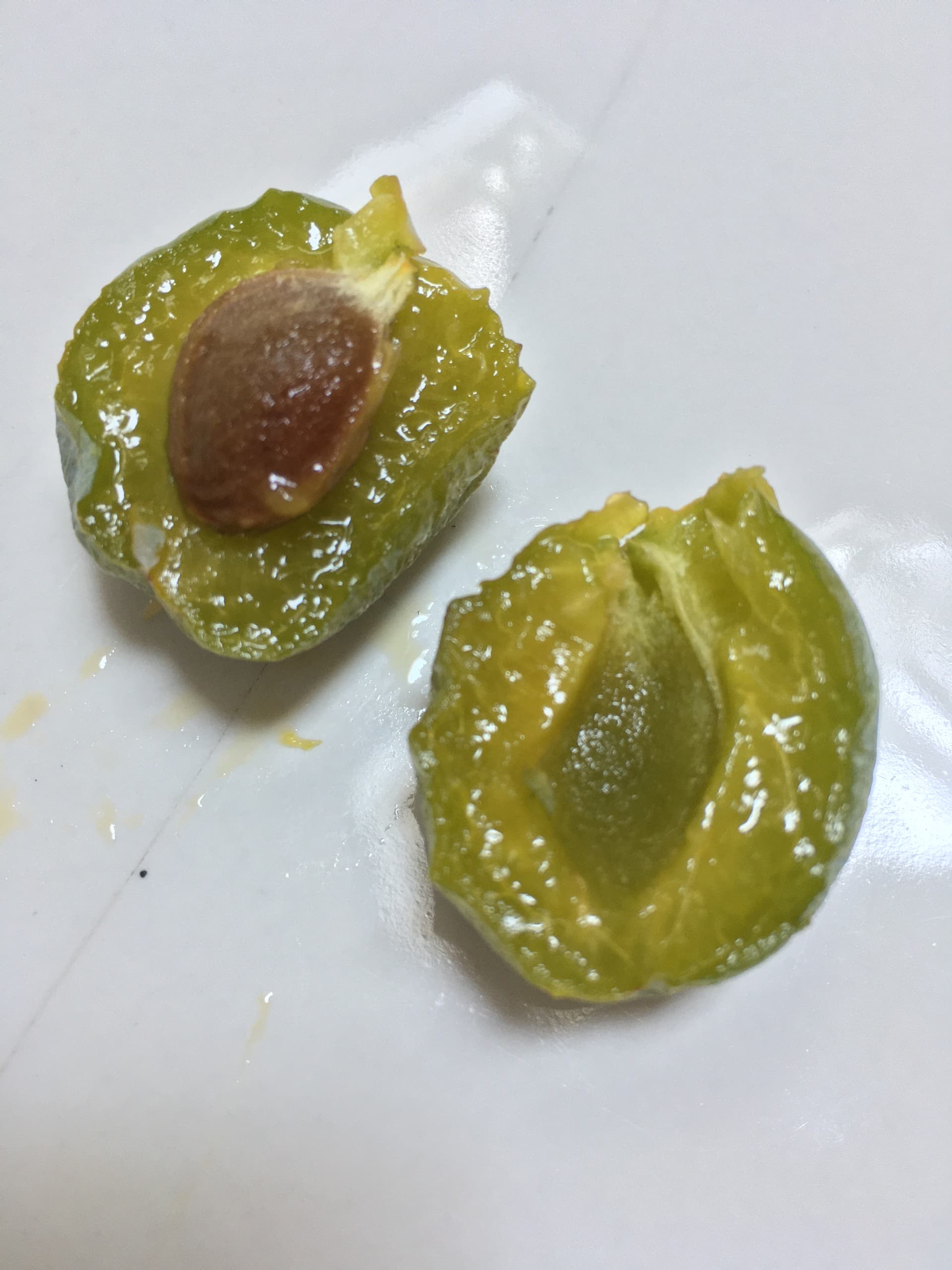 Seattle zone 8b garden. Plums, blueberries, mulberry, cherry & grapes