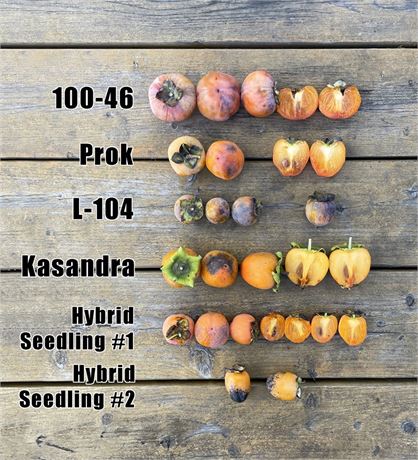 3b6d320e-a83b-4a7c-8611-f046d47f2ebd_fullsize