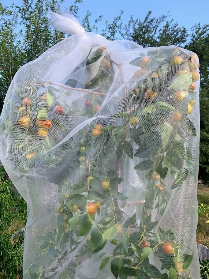 FB_IMG_1735401563740