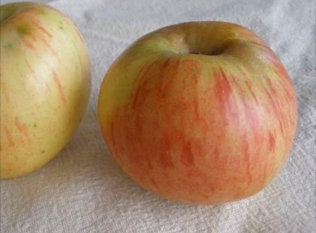 Screenshot_20200114-181905