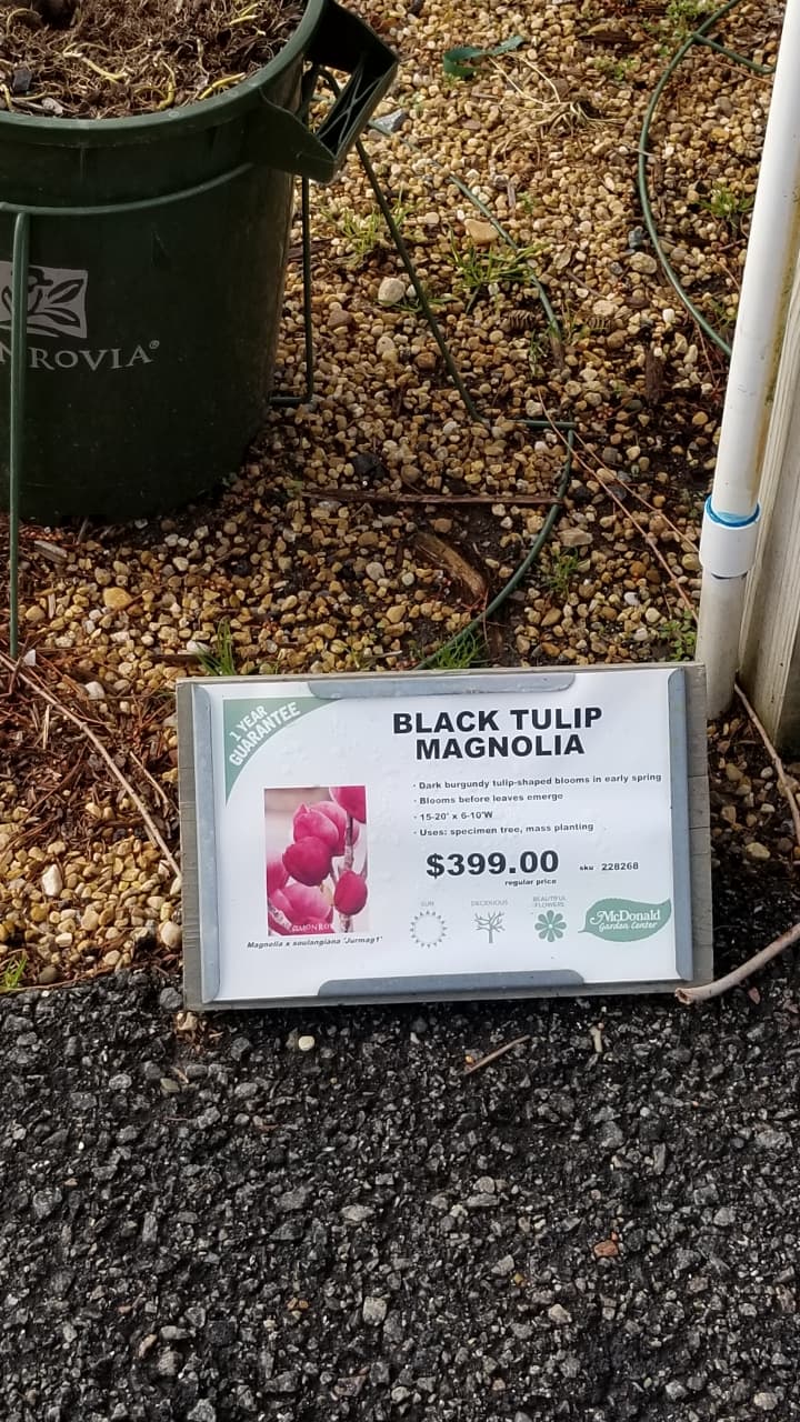 Resizer_17088106666771