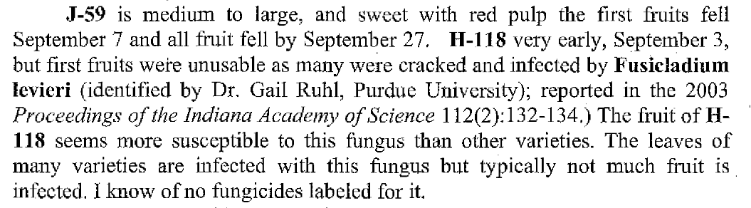 fungal