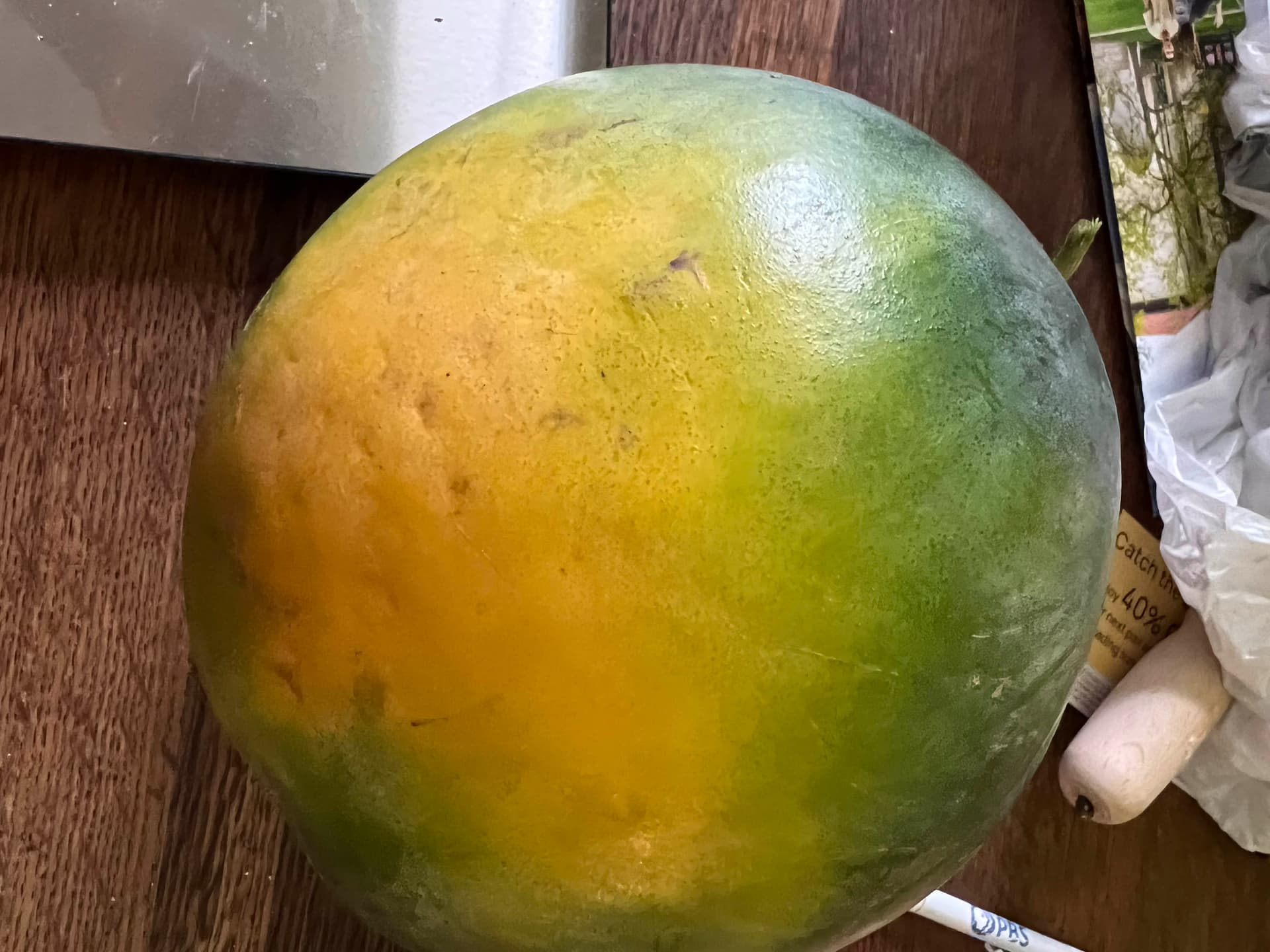 Melons 2022 - Page 3 - General Fruit Growing - Growing Fruit