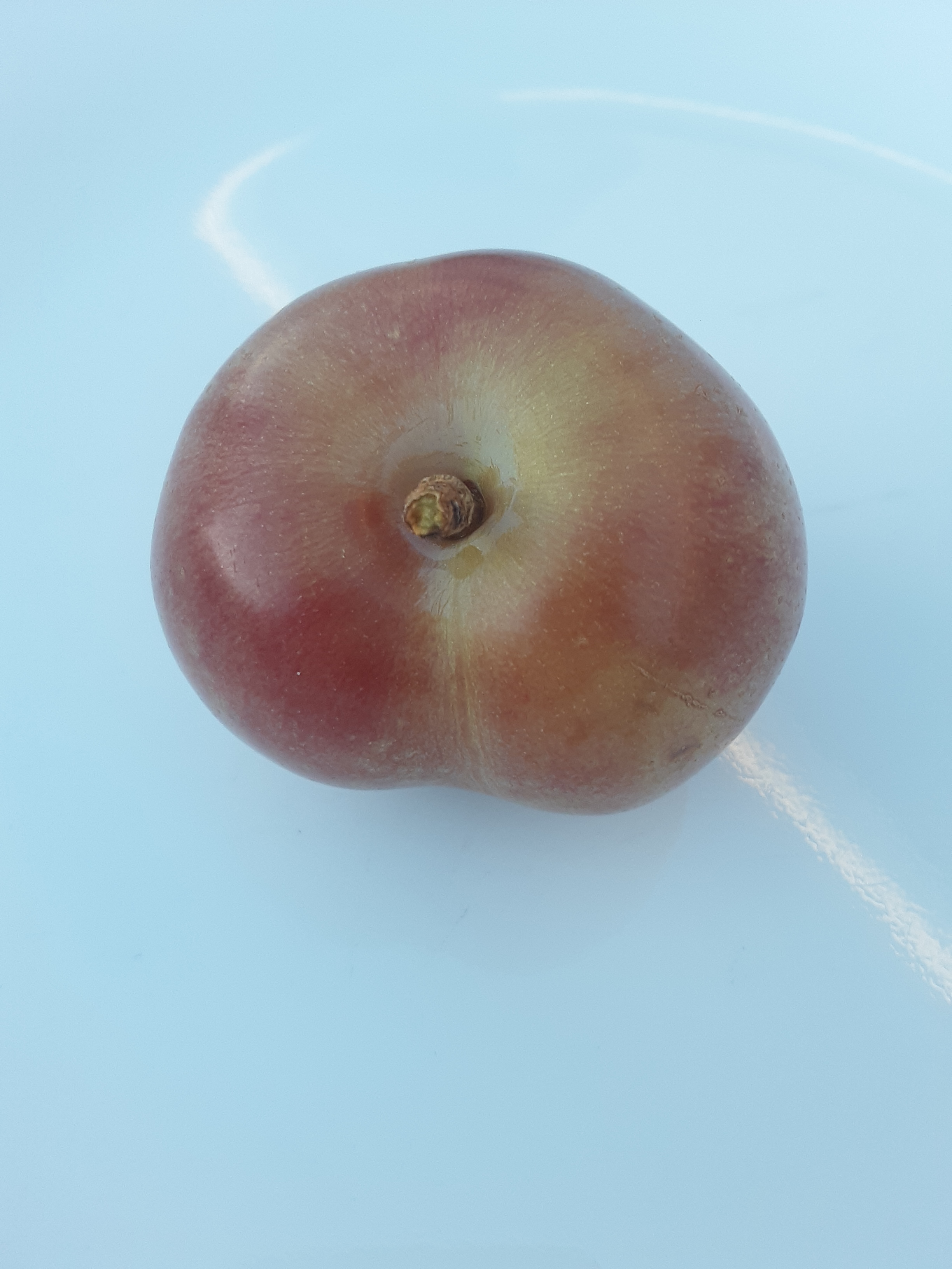 Candy Heart Pluerry General Fruit Growing Growing Fruit