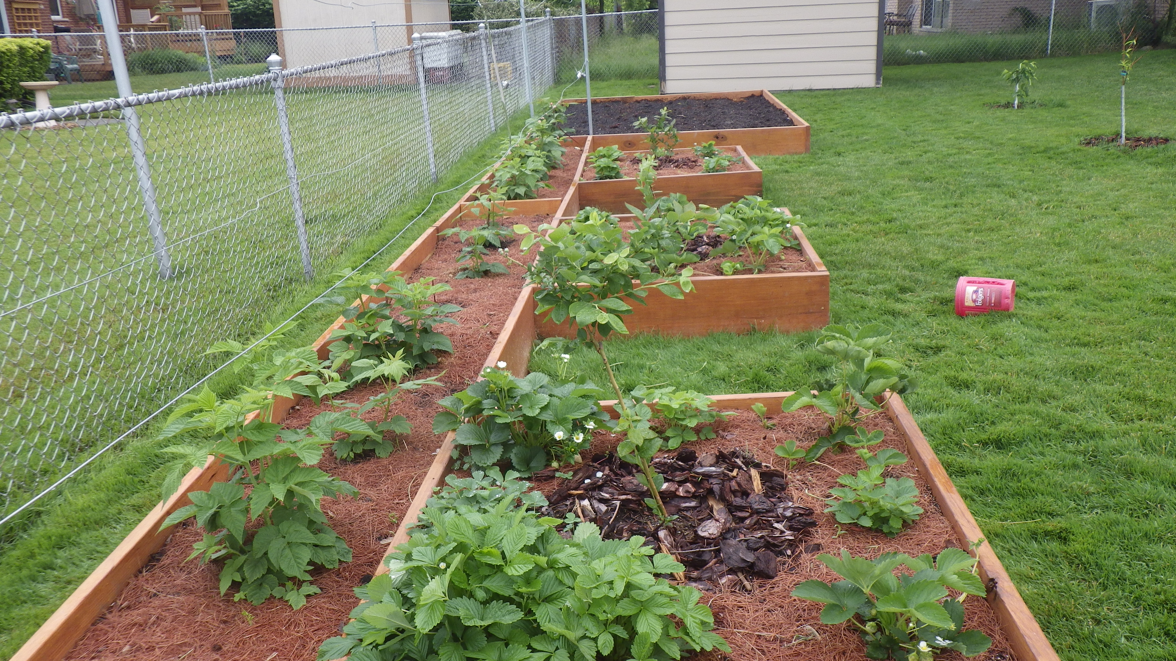 Rake and dispose or rake and use as mulch - General Fruit Growing ...