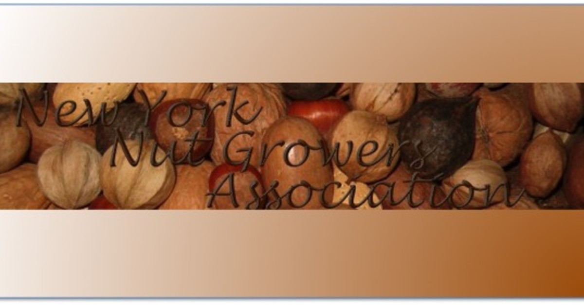 Nut Growers Meeting Long Island 10/14/23 General Fruit Growing