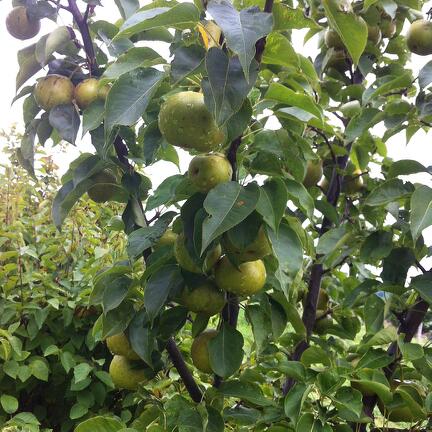 6D13BE5E-B928-44C6-B8CB-ECB80182C82B