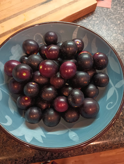 IMG_20240817_132522134