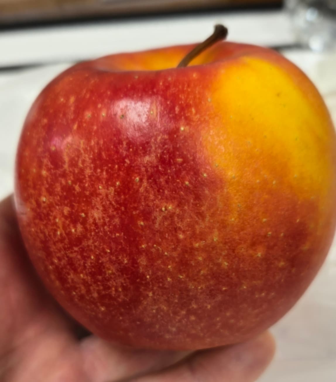 Resizer_17389400839701