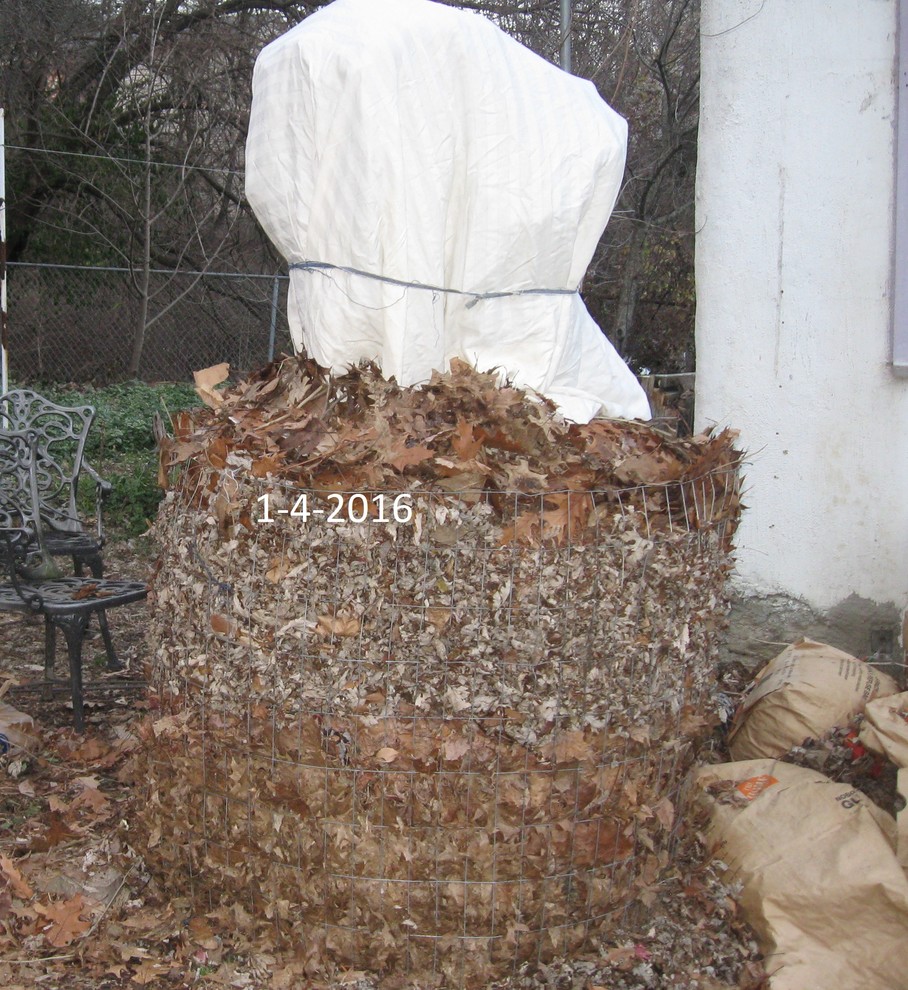 Fabric pots stuck to ground... how to loosen or protect for 10F storm