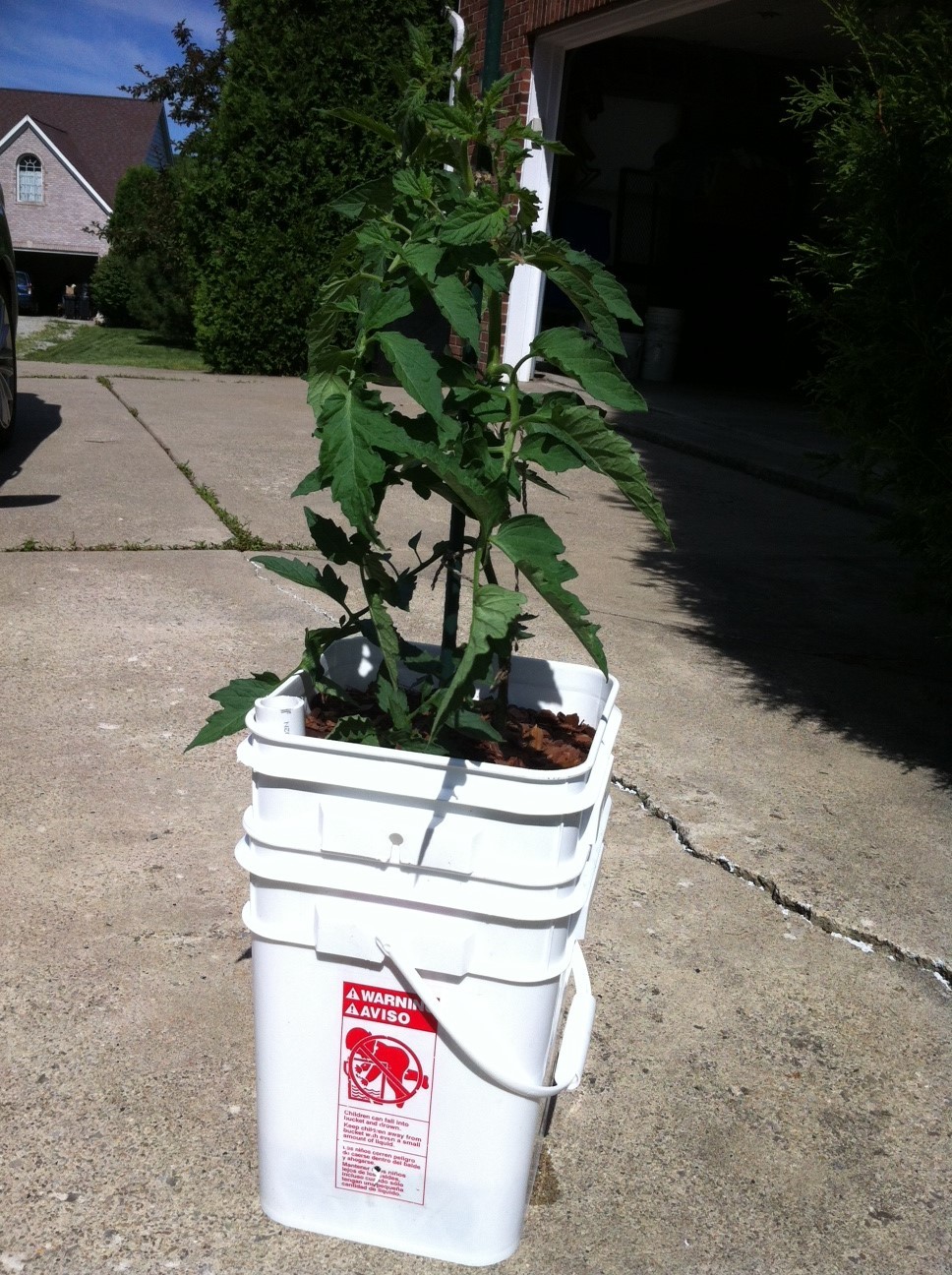 EarthBox Tomatoes General Gardening Growing Fruit
