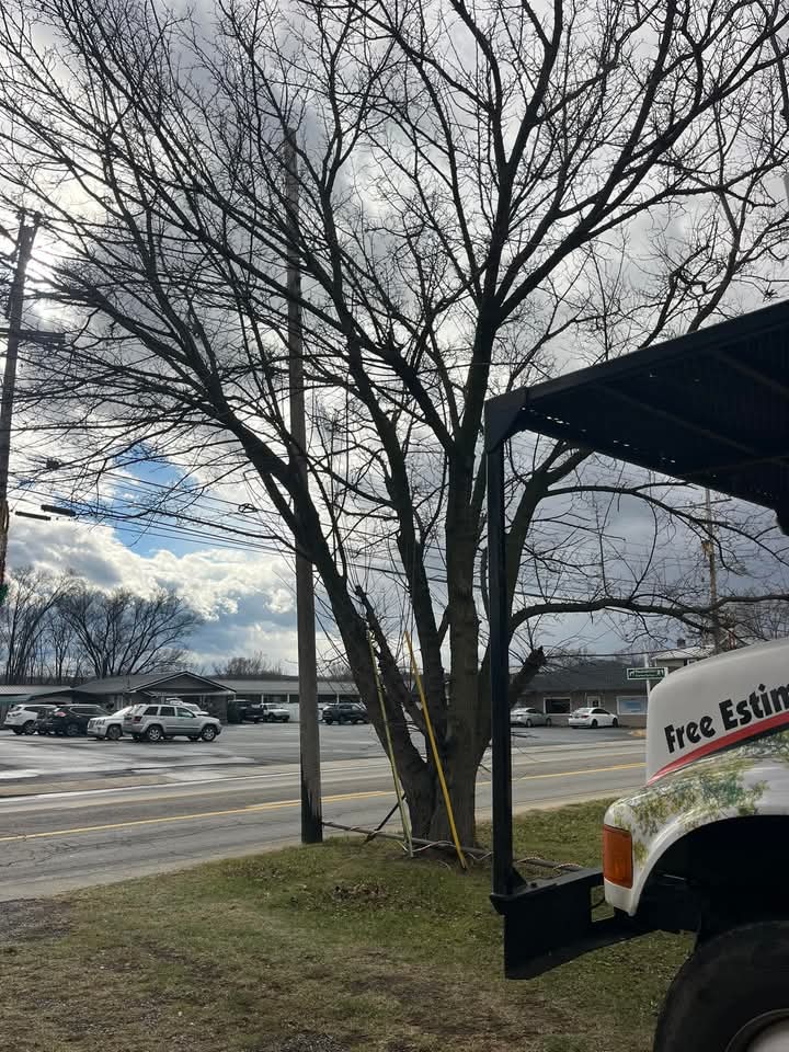 FB_IMG_1736984671537