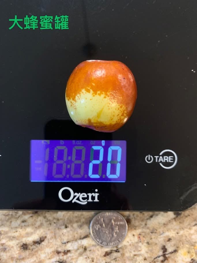 FB_IMG_1735401932436