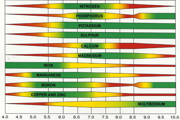 clasificacion-del-ph