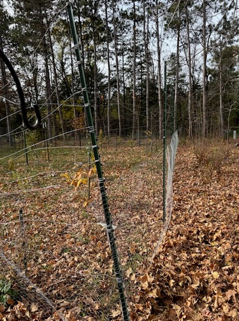 Fence Hit by Deer