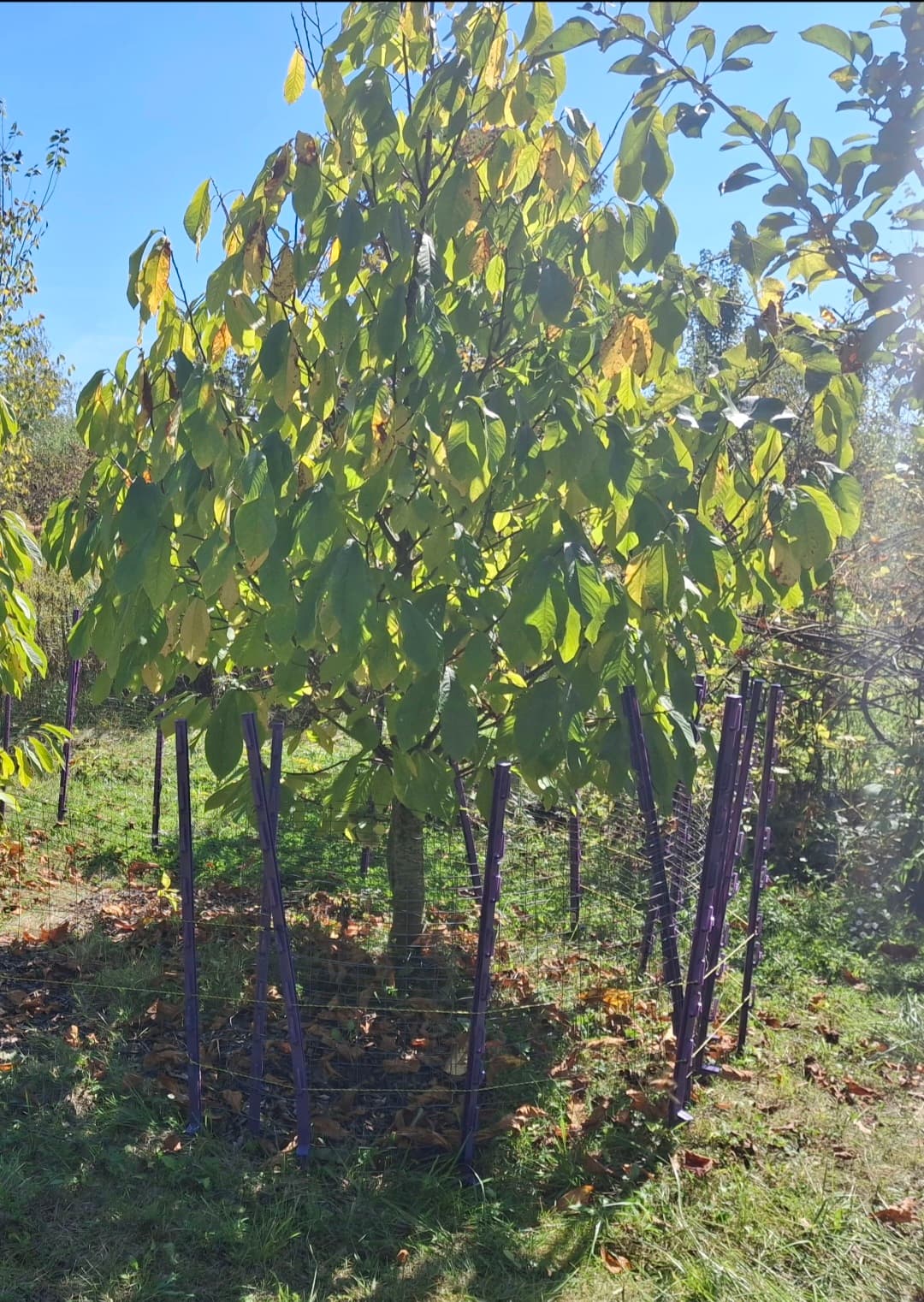 Screenshot_20251015_195702_Gallery