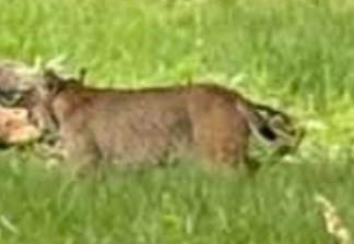 Screenshot_20250619_004128_Facebook