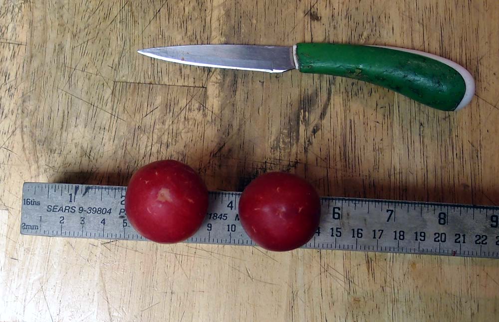 2011plum2