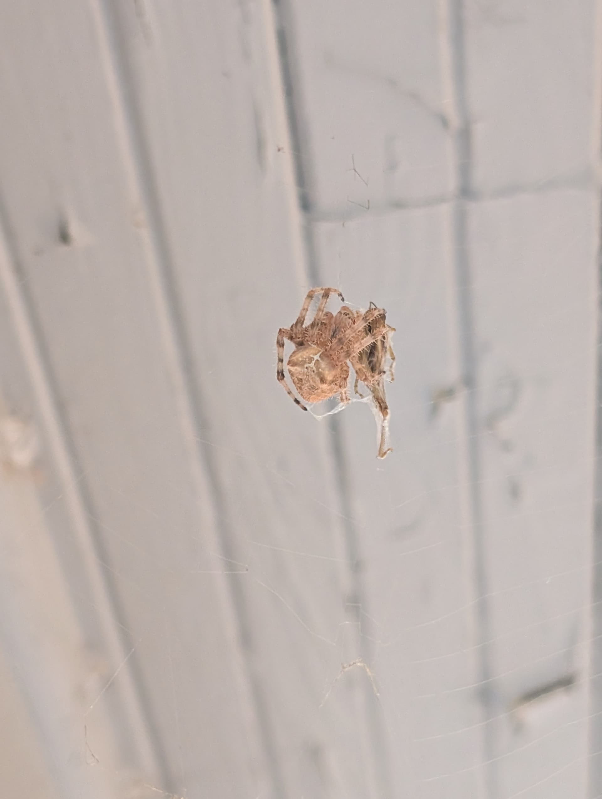 PXL_20250725_030331825