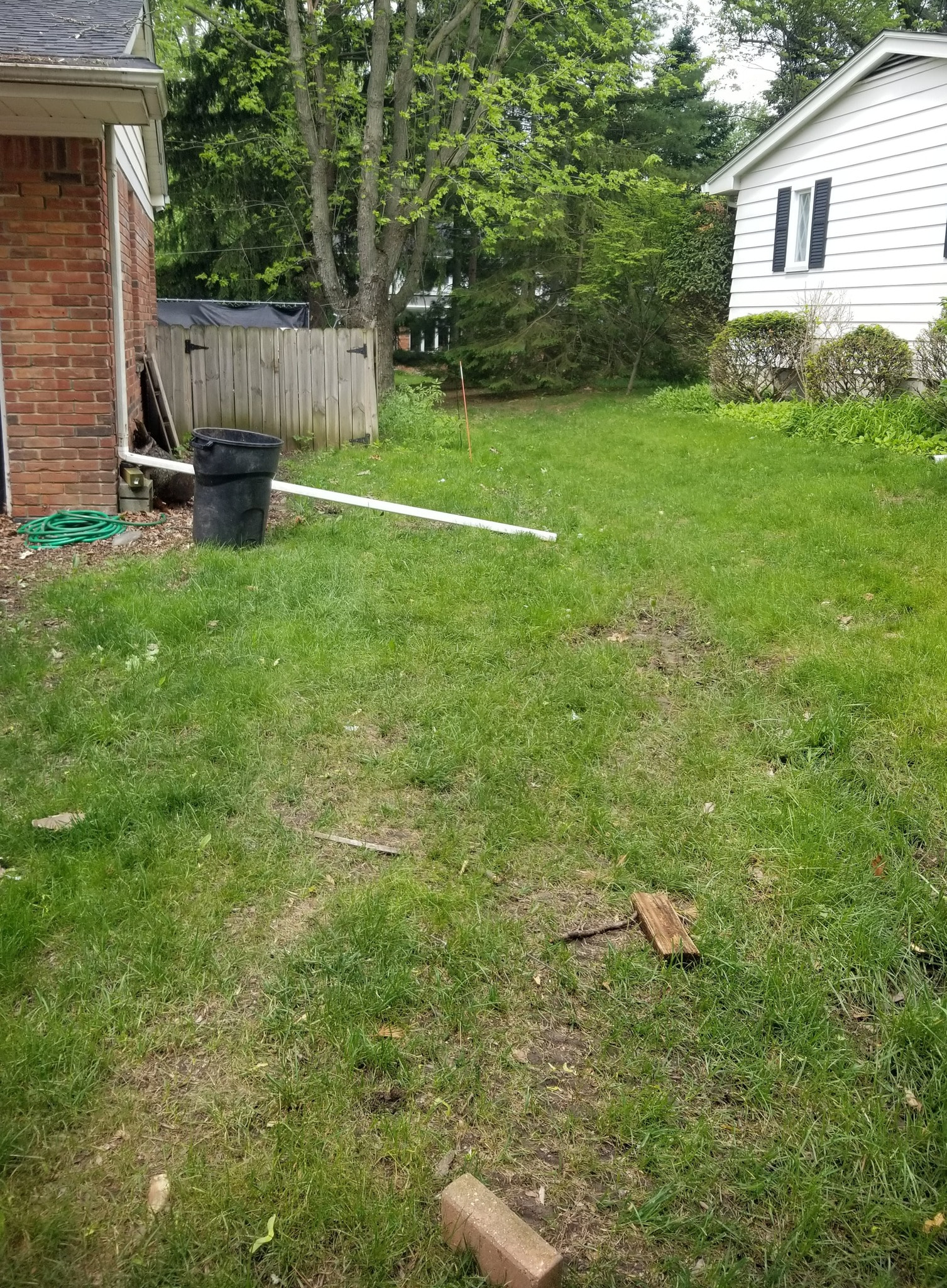 What would you put here? - General Gardening - Growing Fruit