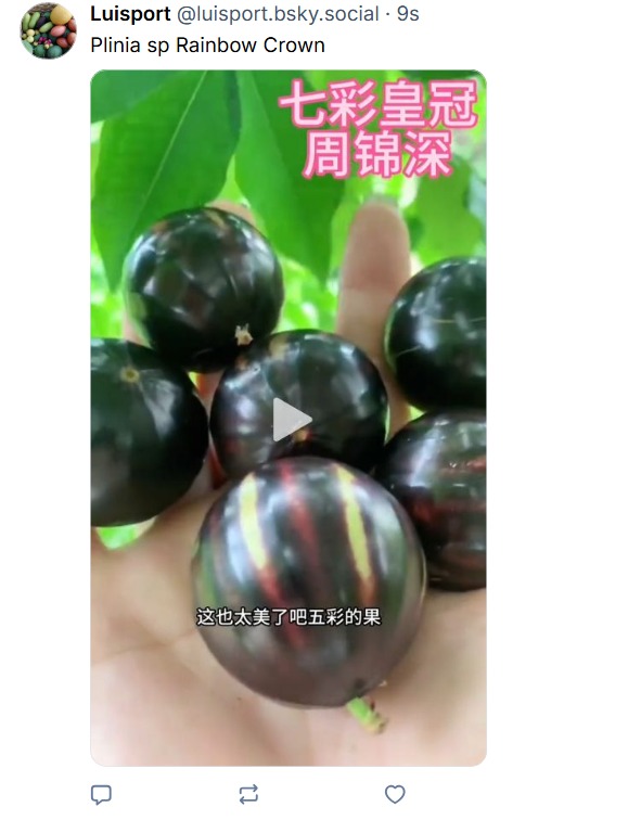 WhatsApp Image 2025-11-29 at 16.14.58